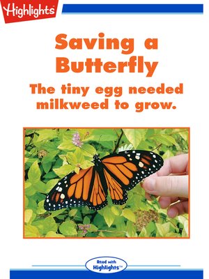 cover image of Saving a Butterfly
